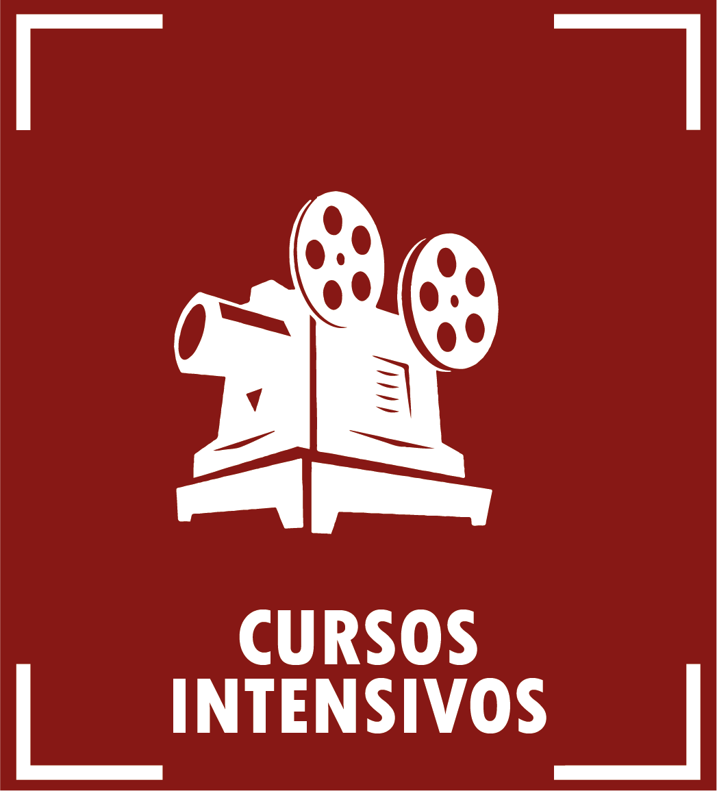 Cursos intensivos